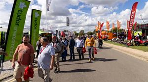 Groundsfest
